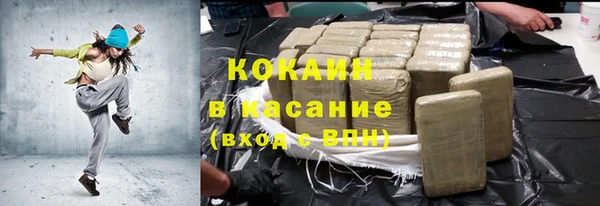 индика Баксан