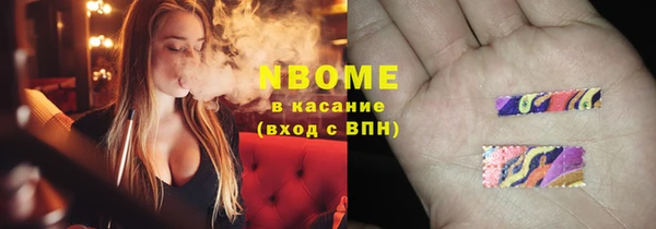 индика Баксан