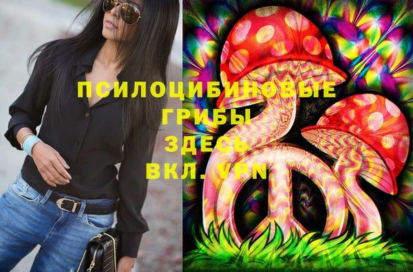 индика Баксан