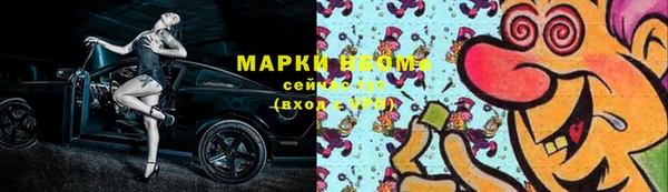 индика Баксан